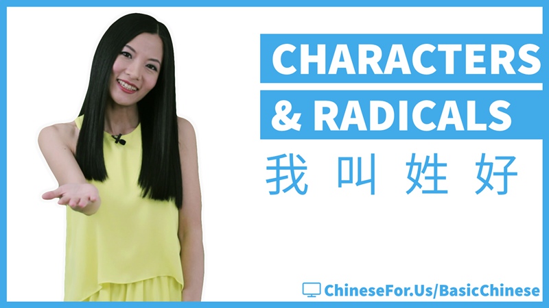 learn-how-to-write-chinese-characters-wo-jiao-xing-hao