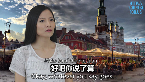 Learn how to say whatever you say goes, you decide in Chinese!